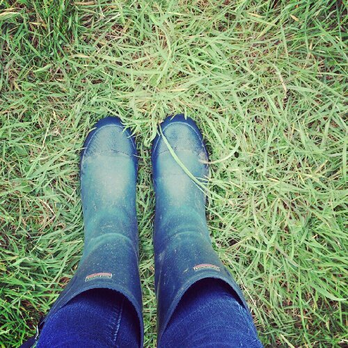 IMG_20120513_130106.jpg image